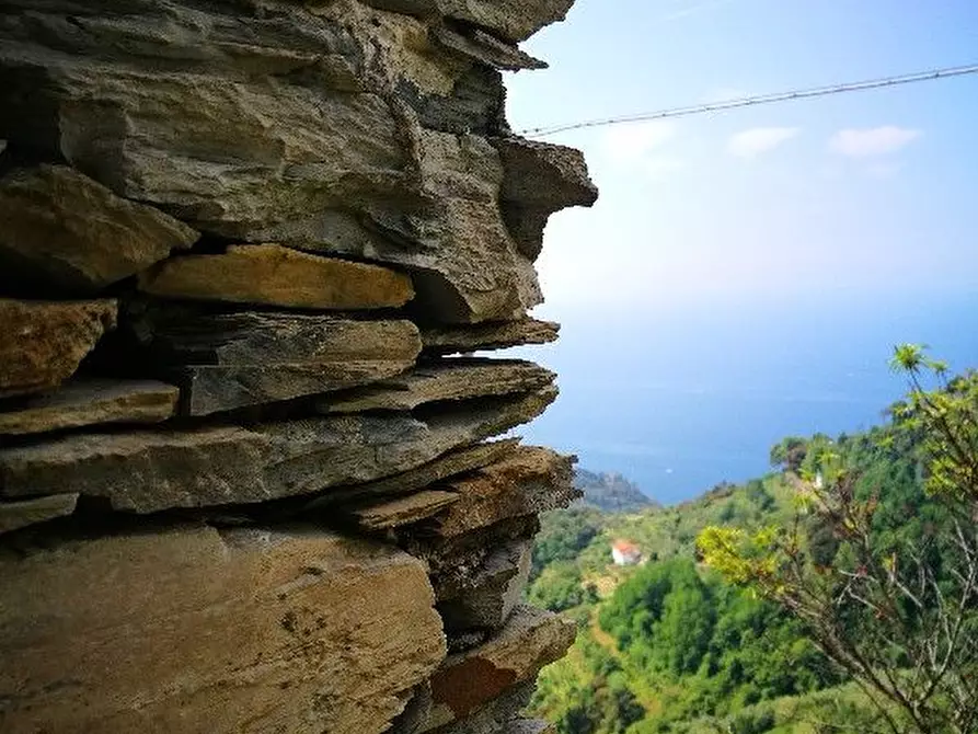 Immagine 4 di Rustico / casale in vendita  a Vernazza