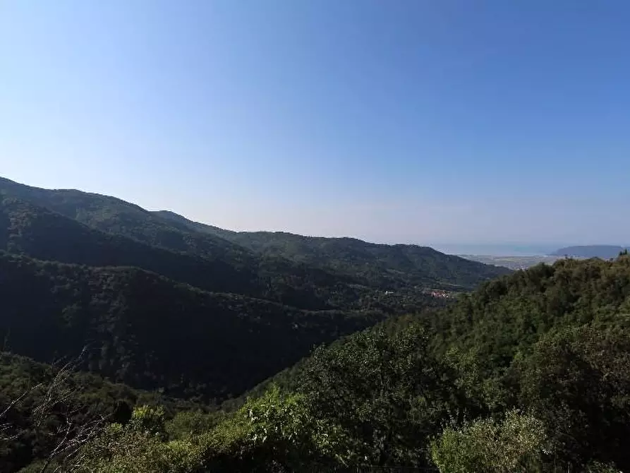 Immagine 13 di Appartamento in vendita  a Fosdinovo