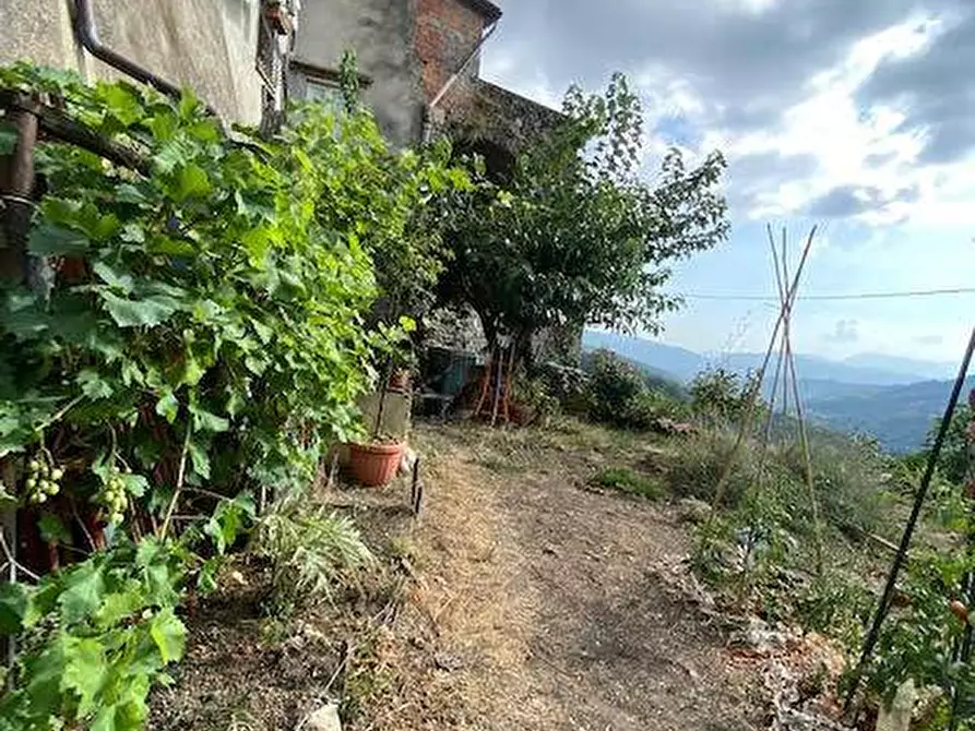 Immagine 2 di Casa quadrifamiliare in vendita  a Fosdinovo