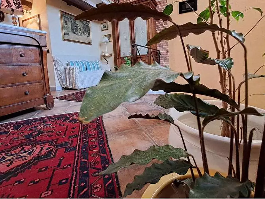 Immagine 19 di Loft/Open space in vendita  a Carrara