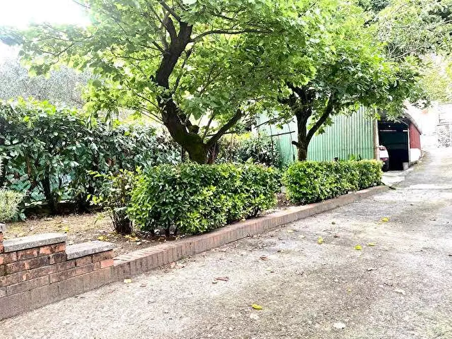 Immagine 10 di Appartamento in vendita  a Carrara