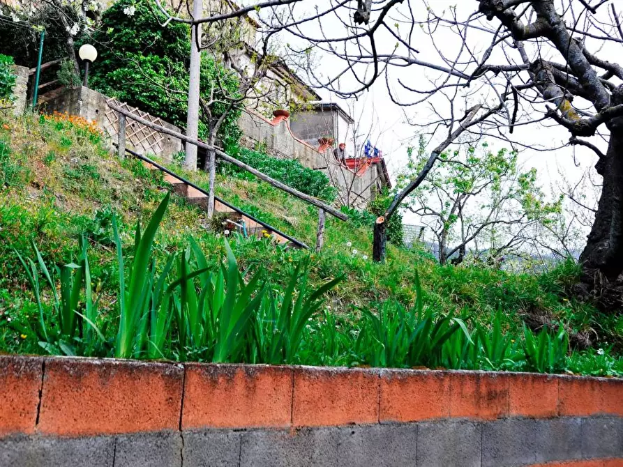 Immagine 2 di Rustico / casale in vendita  a Ortonovo