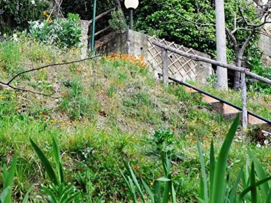 Immagine 27 di Rustico / casale in vendita  a Ortonovo