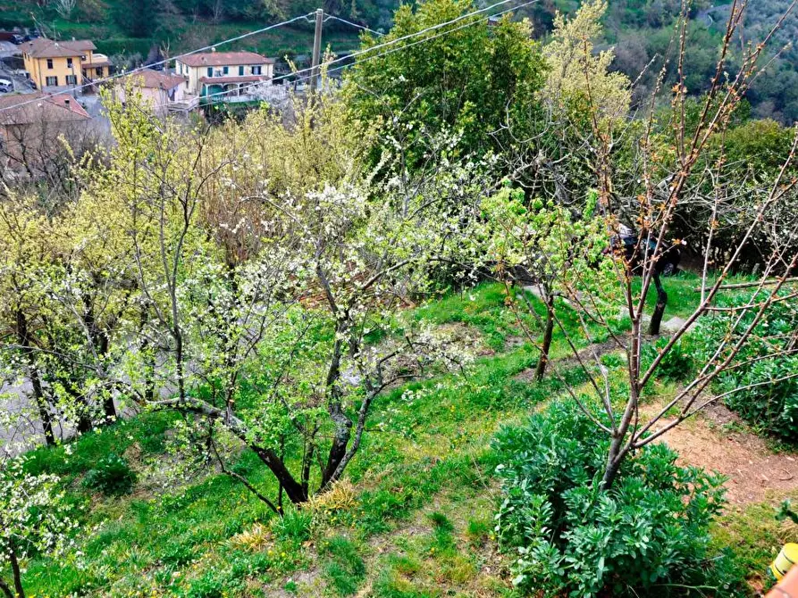 Immagine 26 di Rustico / casale in vendita  a Ortonovo