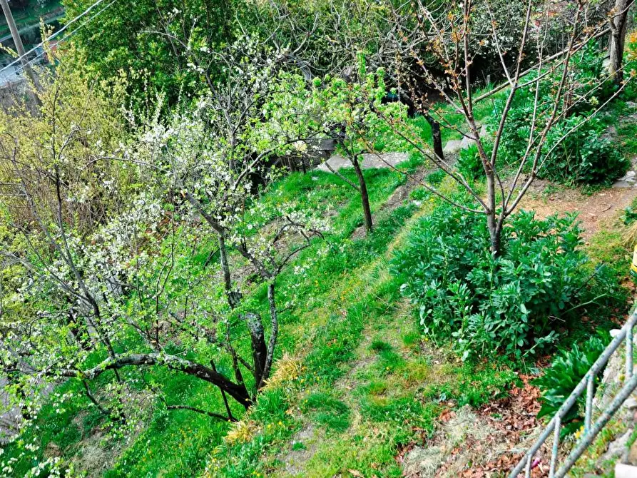 Immagine 8 di Rustico / casale in vendita  a Ortonovo