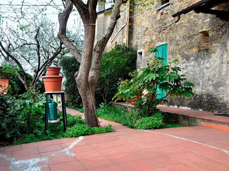 Immagine 7 di Rustico / casale in vendita  a Ortonovo