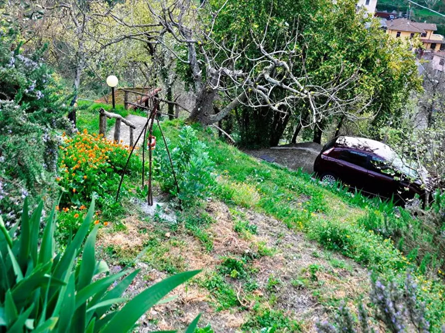 Immagine 3 di Rustico / casale in vendita  a Ortonovo