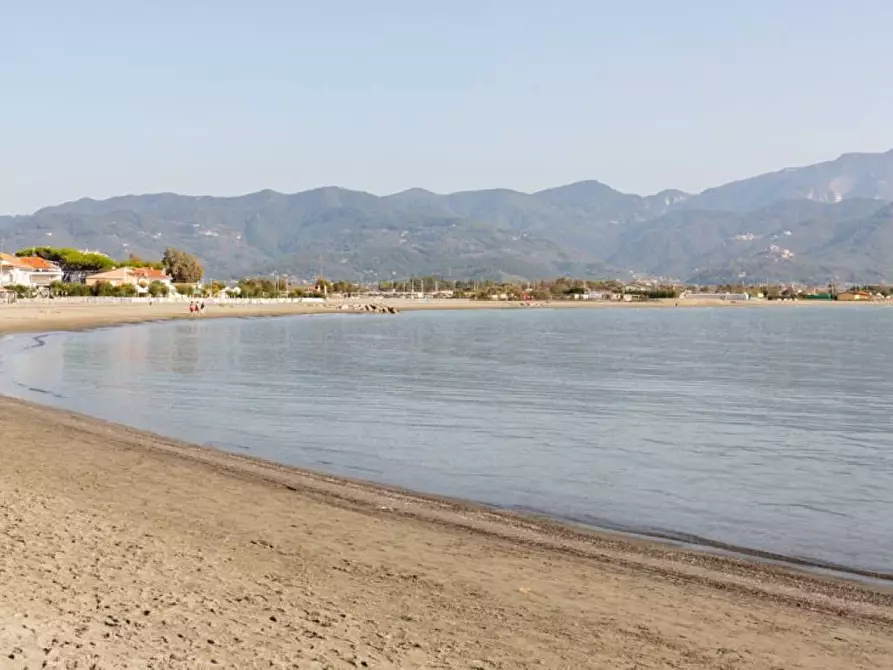 Immagine 13 di Appartamento in vendita  a Ameglia