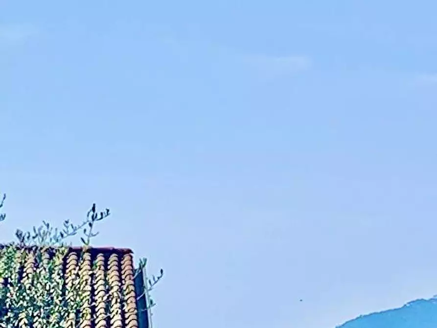 Immagine 24 di Villa in vendita  a Ortonovo