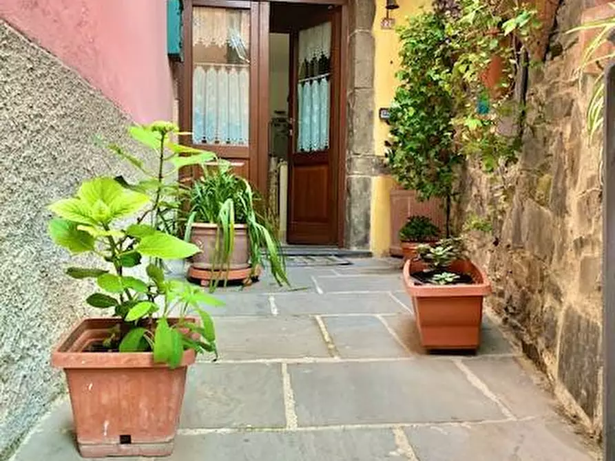 Immagine 24 di Terratetto in vendita  a Ortonovo