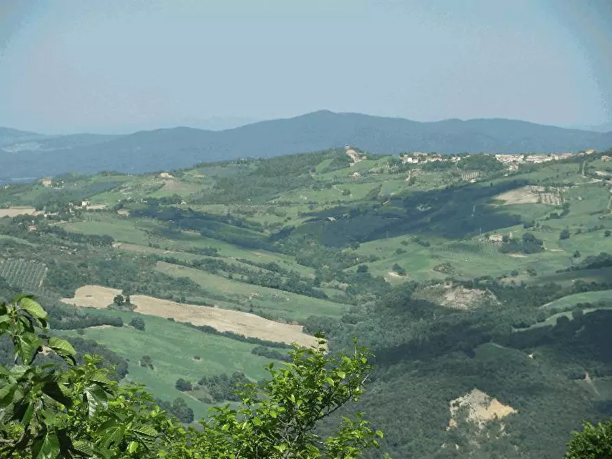 Immagine 5 di Villa in vendita  a Pomarance