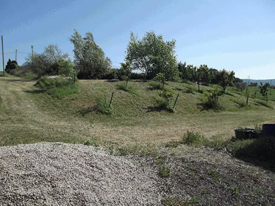 Immagine 3 di Villa in vendita  a Pomarance