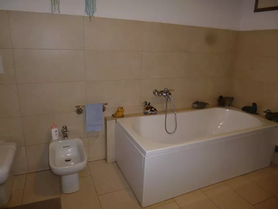 Immagine 8 di Casa indipendente in vendita  a Livorno