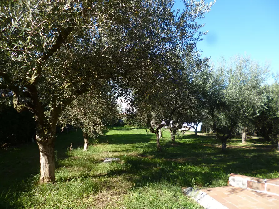 Immagine 5 di Casa indipendente in vendita  a Livorno