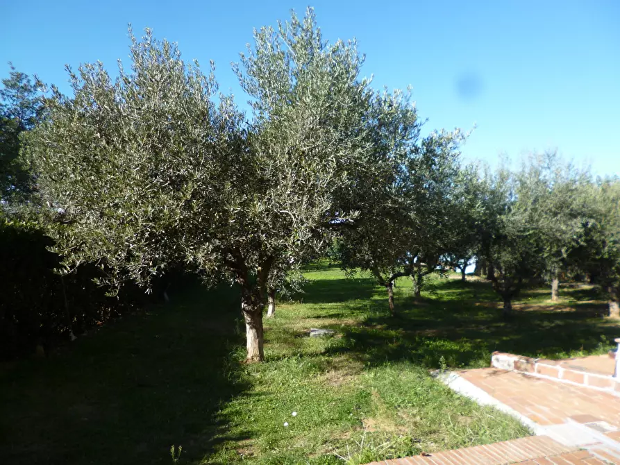 Immagine 24 di Casa indipendente in vendita  a Livorno