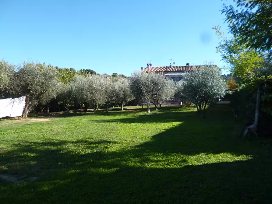 Immagine 6 di Casa indipendente in vendita  a Livorno