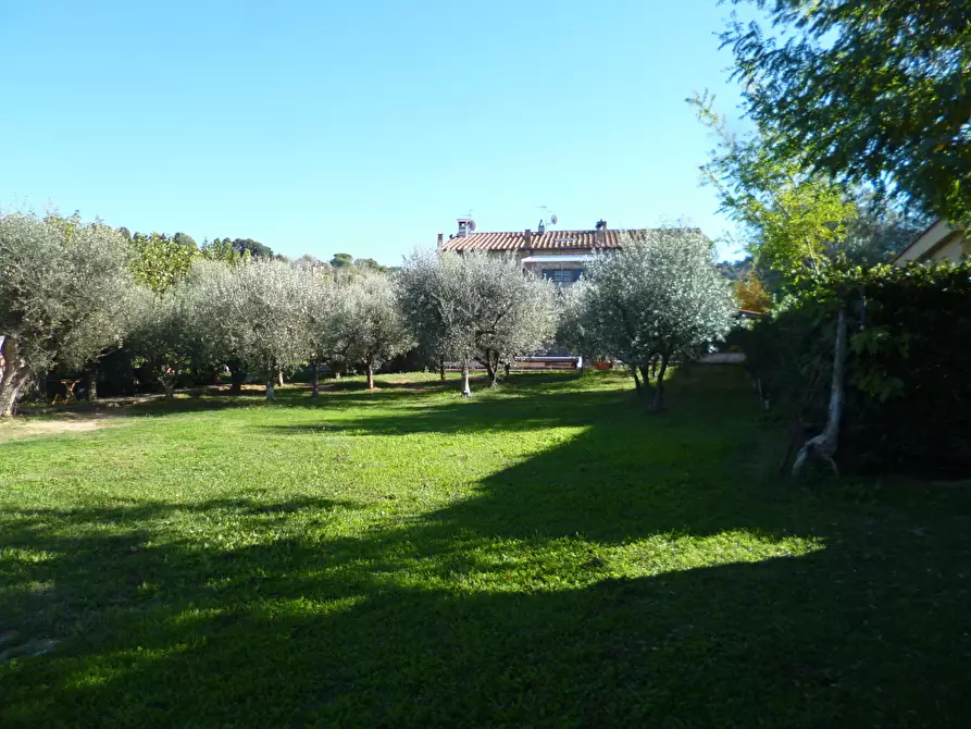 Immagine 25 di Casa indipendente in vendita  a Livorno