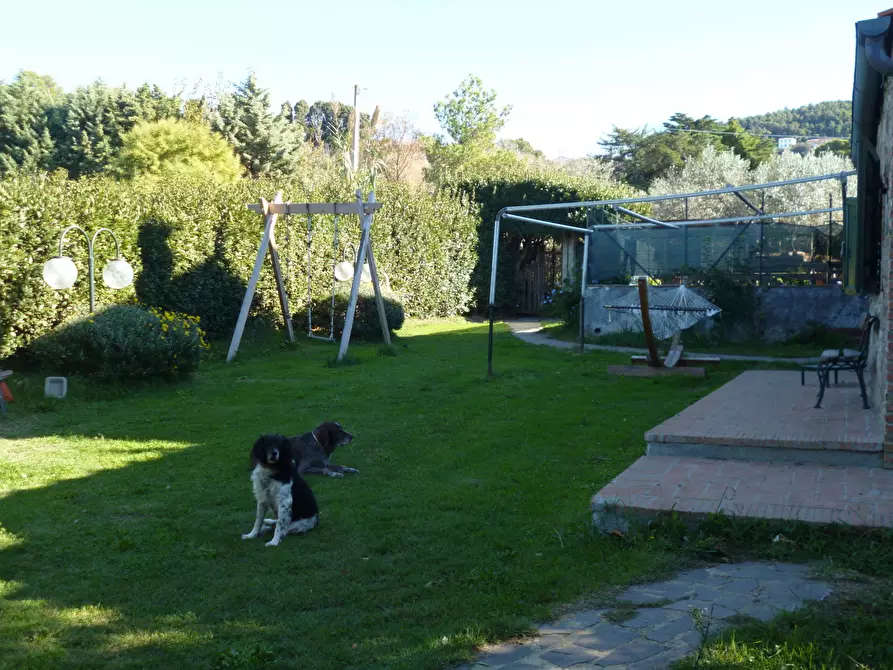 Immagine 26 di Casa indipendente in vendita  a Livorno