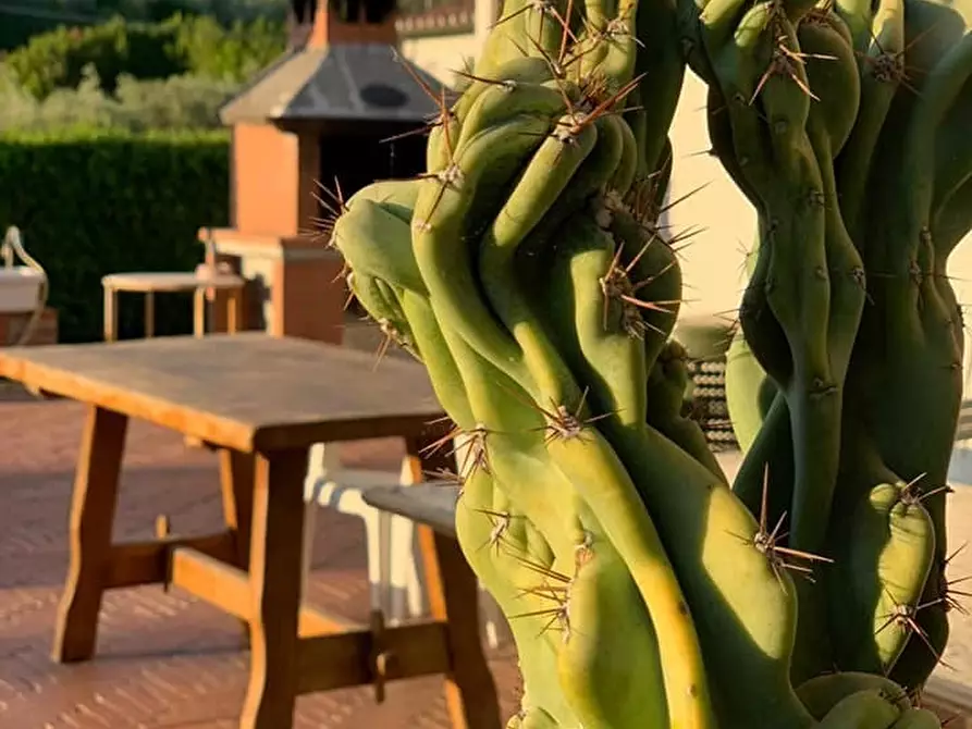 Immagine 13 di Villa in vendita  a Crespina Lorenzana