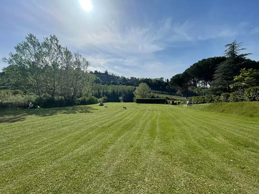 Immagine 18 di Villa in vendita  a Crespina Lorenzana