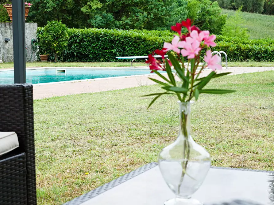 Immagine 7 di Villa in vendita  a Crespina Lorenzana