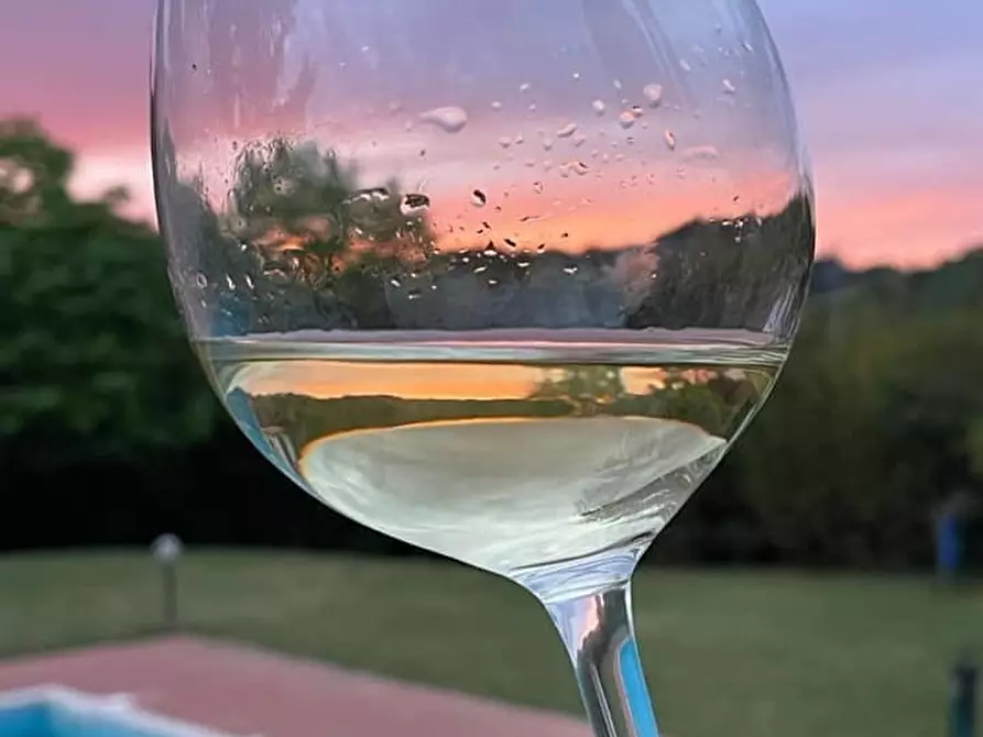 Immagine 11 di Villa in vendita  a Crespina Lorenzana