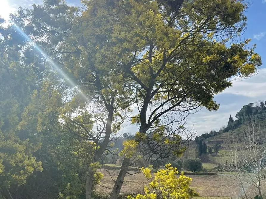 Immagine 17 di Villa in vendita  a Crespina Lorenzana