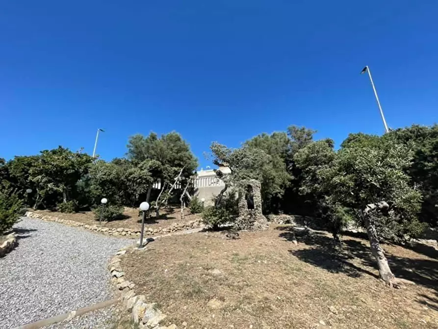 Immagine 17 di Appartamento in vendita  a Livorno