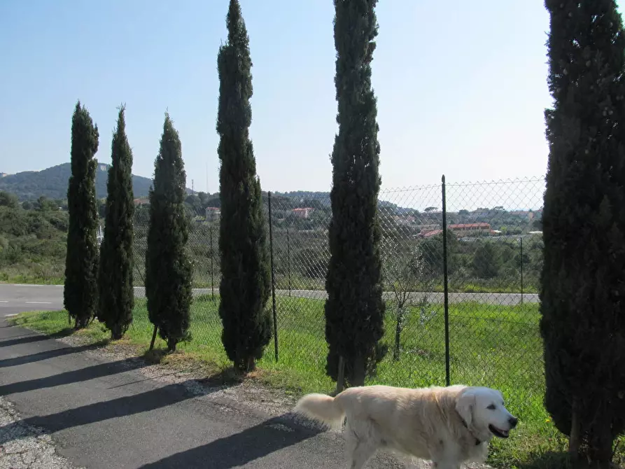 Immagine 6 di Villa in vendita  a Livorno