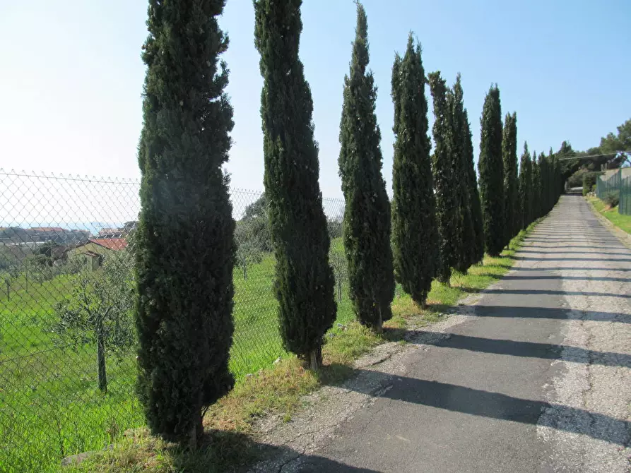 Immagine 8 di Villa in vendita  a Livorno