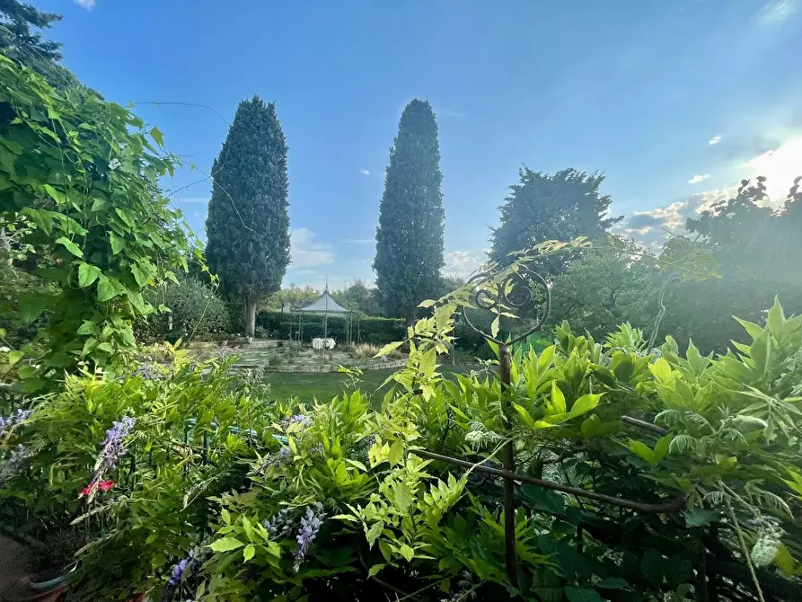 Immagine 6 di Villa in vendita  a Livorno