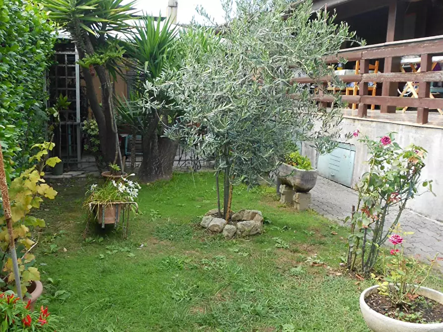 Immagine 54 di Casa indipendente in vendita  a Massa