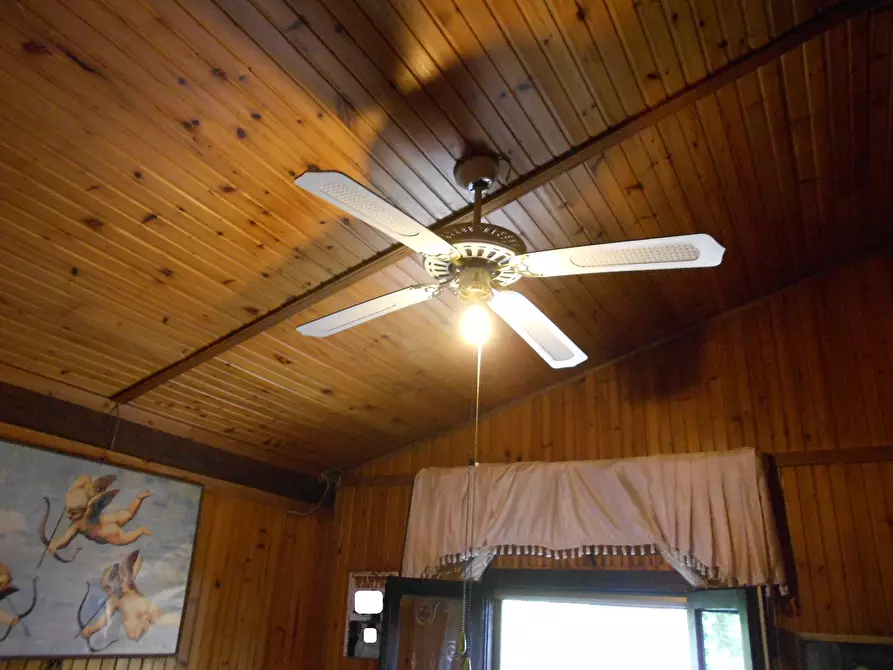 Immagine 41 di Casa indipendente in vendita  a Massa