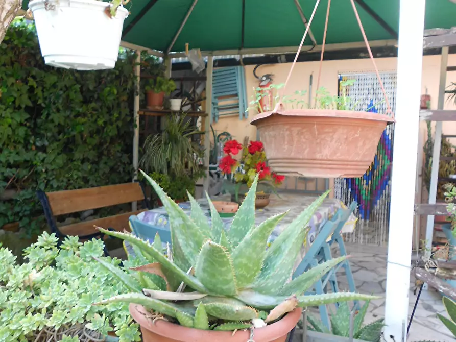 Immagine 47 di Casa indipendente in vendita  a Massa