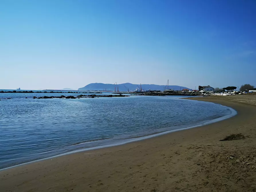 Immagine 48 di Villa in vendita  a Massa