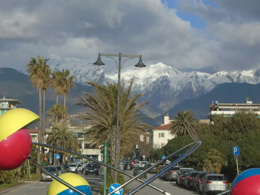 Immagine 40 di Villa in vendita  a Massa