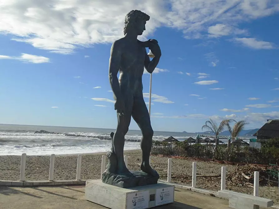 Immagine 38 di Villa in vendita  a Massa