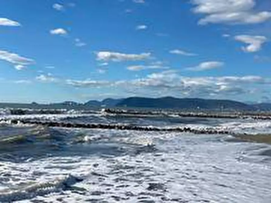 Immagine 26 di Villa in vendita  a Massa