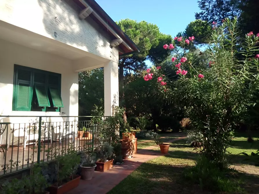 Immagine 18 di Villa in vendita  a Massa