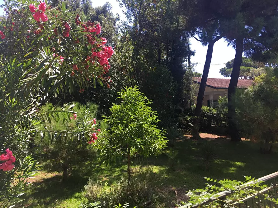 Immagine 25 di Villa in vendita  a Massa
