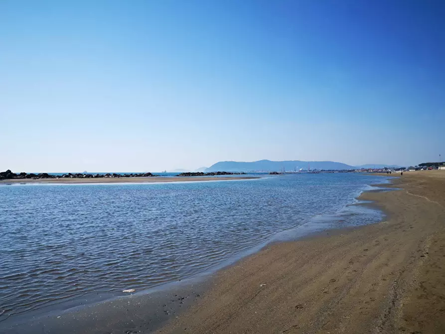 Immagine 45 di Villa in vendita  a Massa