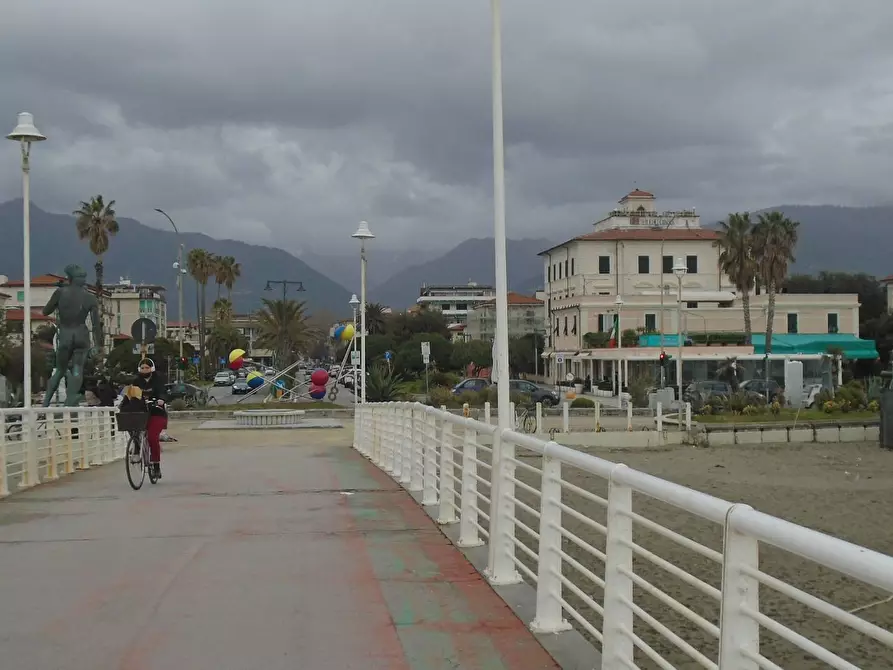 Immagine 30 di Villa in vendita  a Massa