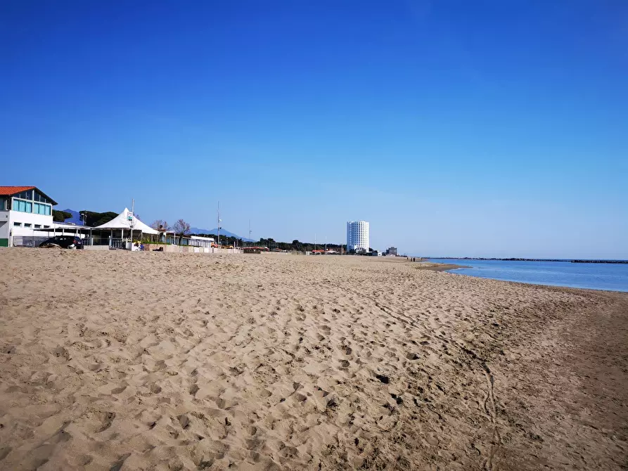 Immagine 46 di Villa in vendita  a Massa