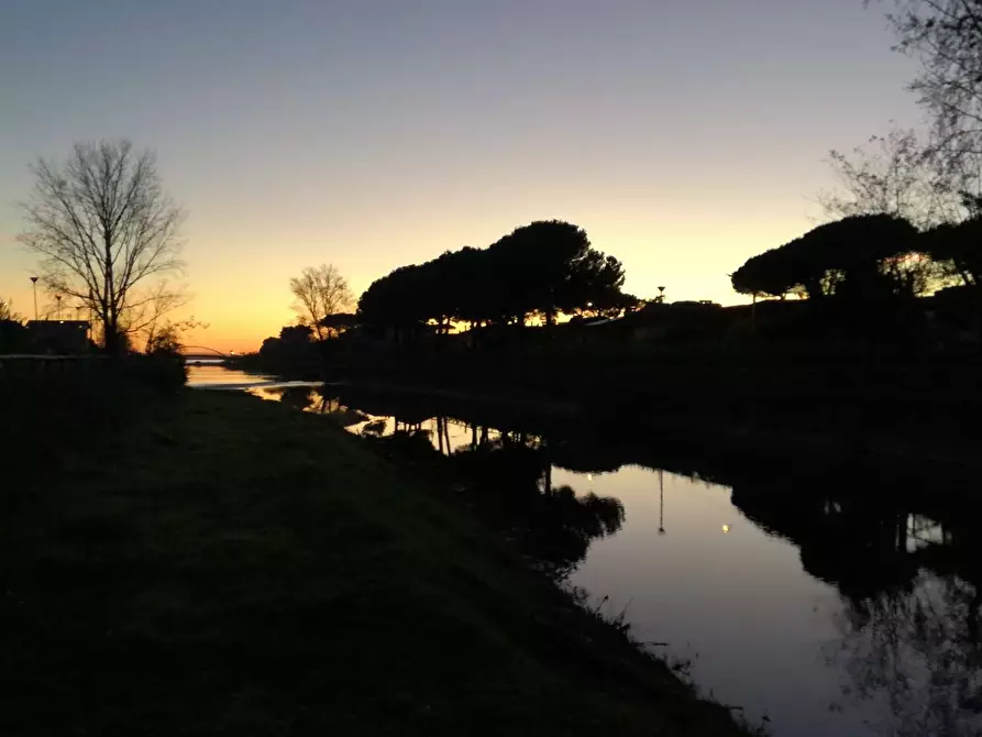 Immagine 51 di Villa in vendita  a Massa