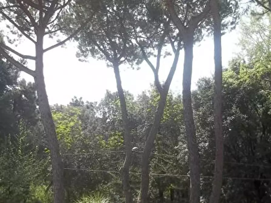 Immagine 21 di Porzione di casa in vendita  a Massa