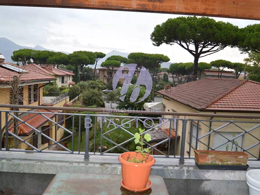 Immagine 20 di Villa in vendita  a Camaiore