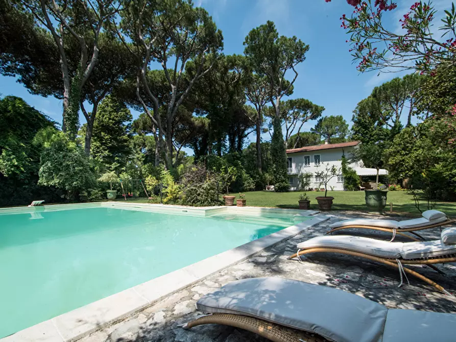 Immagine 9 di Villa in vendita  a Pietrasanta