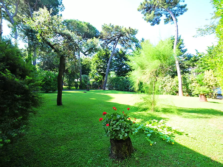 Immagine 9 di Villa in vendita  a Pietrasanta