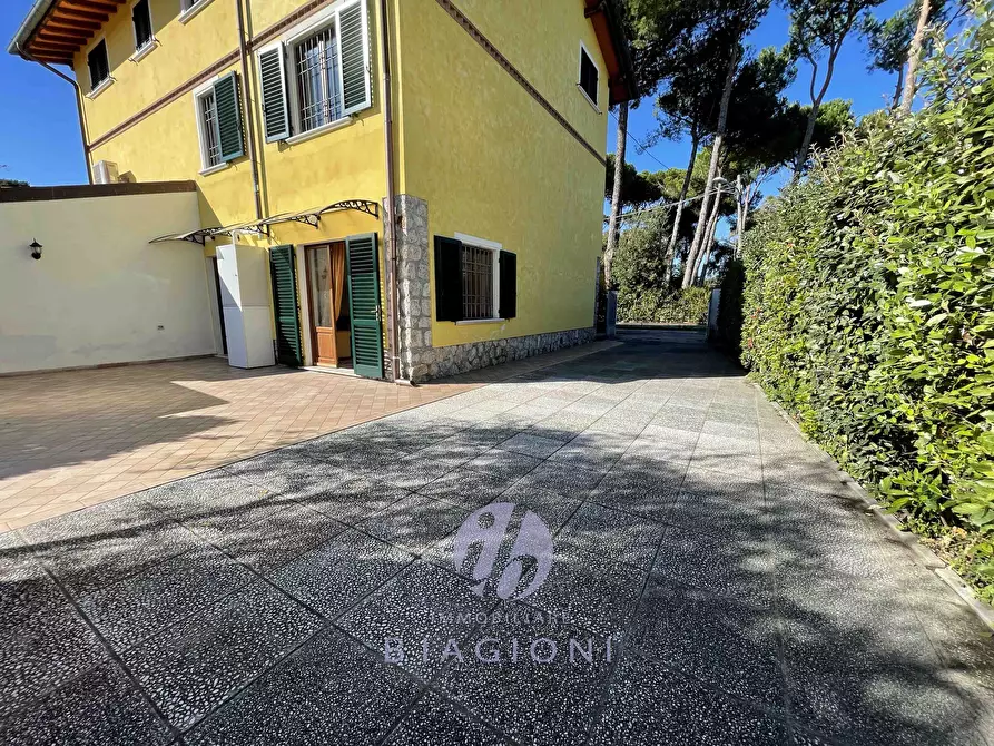 Immagine 3 di Casa bifamiliare in vendita  a Pietrasanta