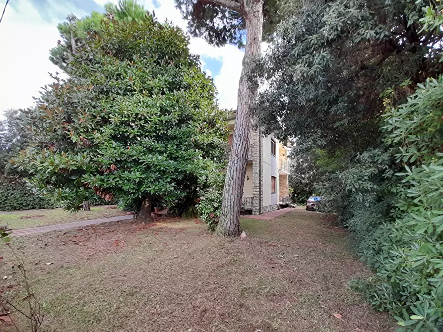 Immagine 8 di Villa in vendita  a Pietrasanta